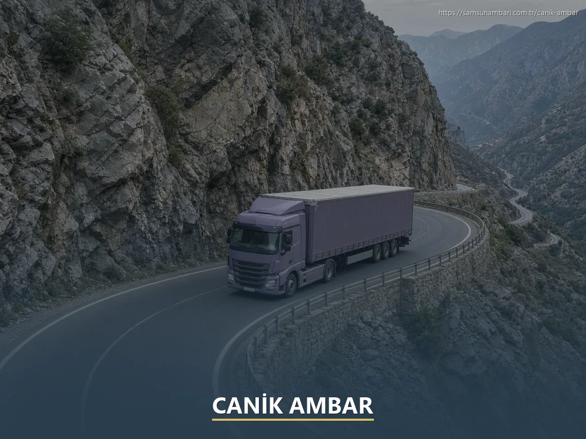 Canik Ambar